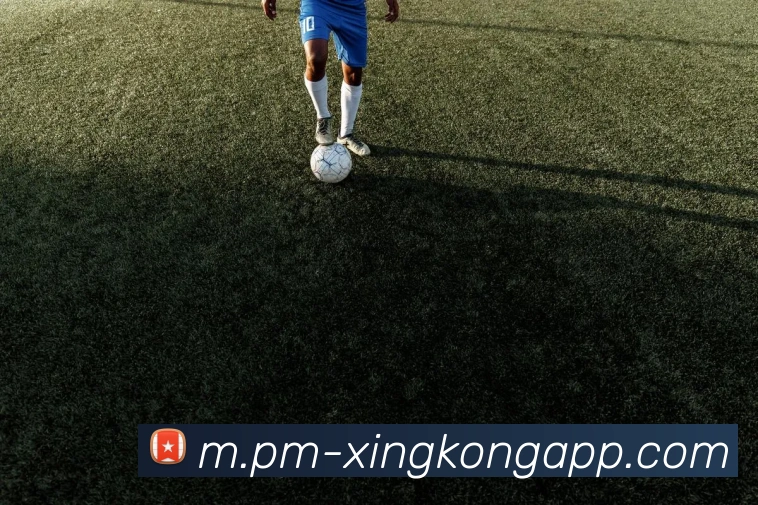 星空体育APP 封面图